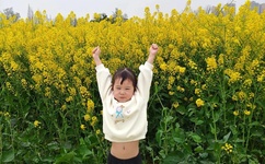 lol电竞剧演员表